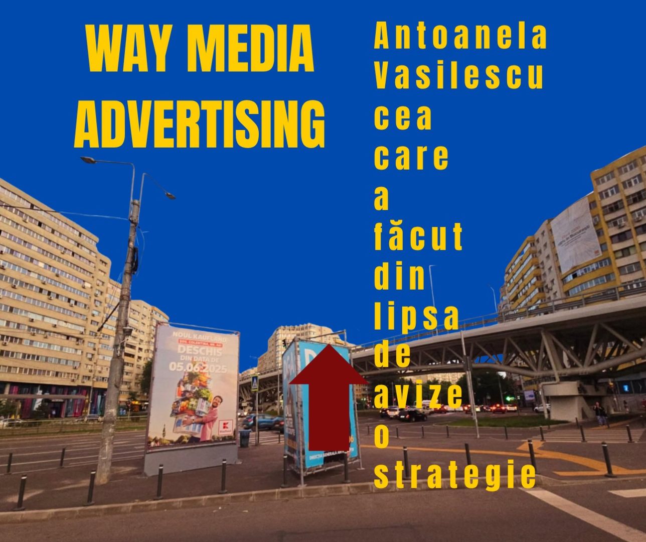 Way Advertise Production SRL și Antoanela Vasilescu: Publicitate Fără Avize și Plăți Fiscale – O Investigație Detaliată